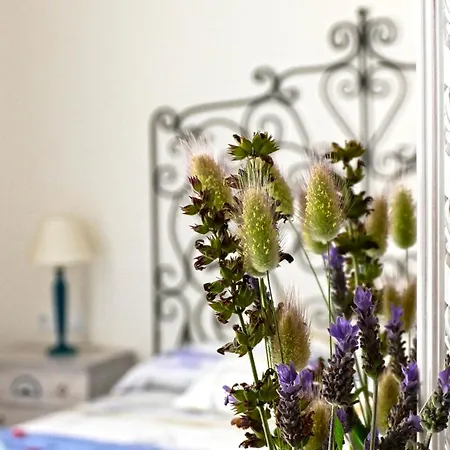 度假居 La Llar De La Kim, Bonita Casa A 150m Del Mar Y 40km De Barcelona *