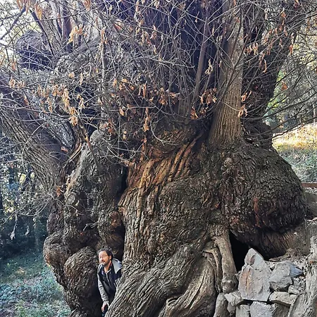La Llar De La Kim, Bonita Casa A 150m Del Mar Y 40km De Barcelona 度假居